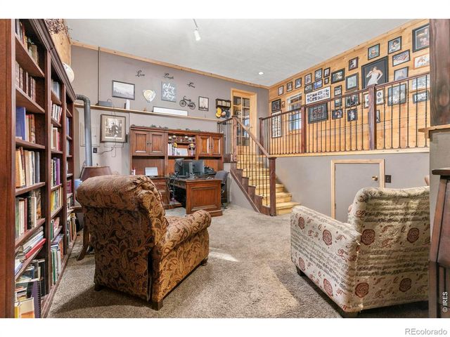 274 Iron Mountain Drive, Livermore, CO 80536