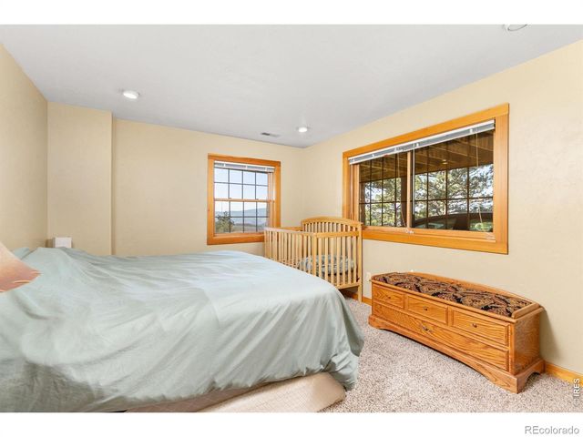274 Iron Mountain Drive, Livermore, CO 80536