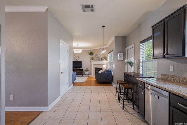 20511 View Meadow, San Antonio, TX 78258