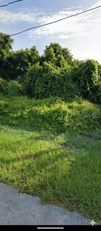 1371 ABAGAIL DRIVE, Deltona, FL 32725