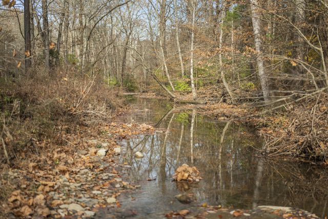 1420 Indian Springs Rd, Pegram, TN 37143