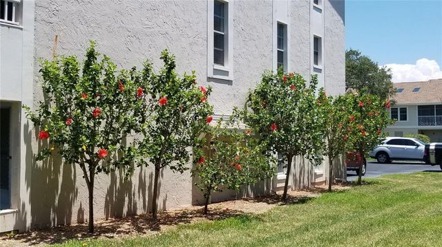 255 CAPRI CIRCLE N 17, Treasure Island, FL 33706