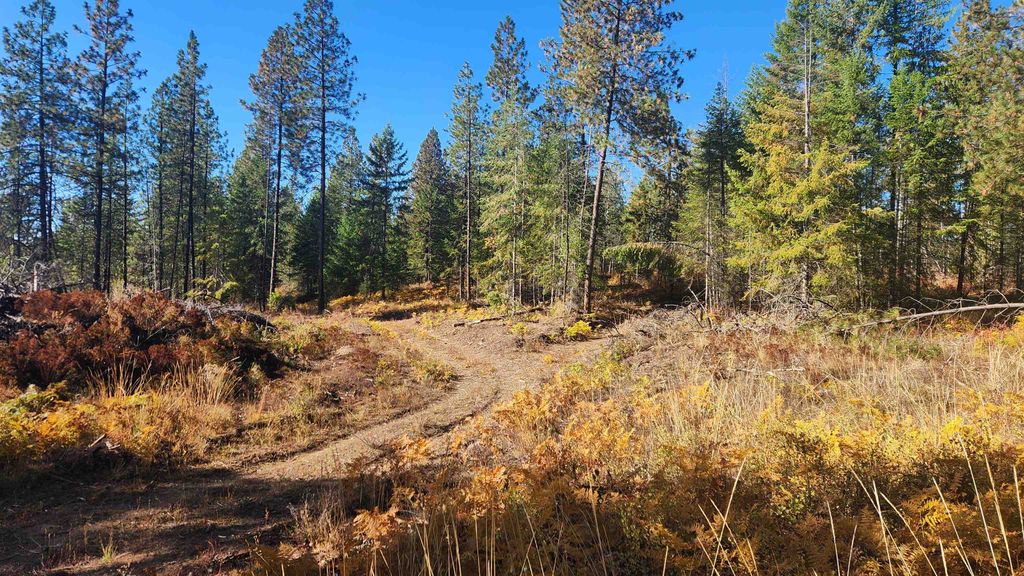 43xx Lyons Hill Rd, Springdale, WA 99173 photo