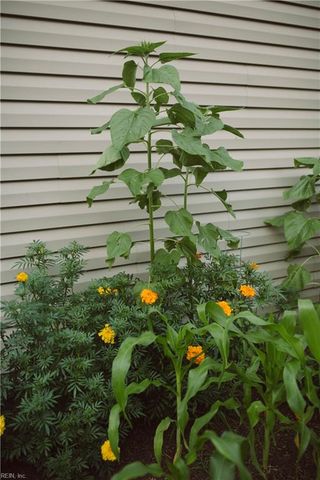 2512 Olympic CT, Virginia Beach, VA 23453