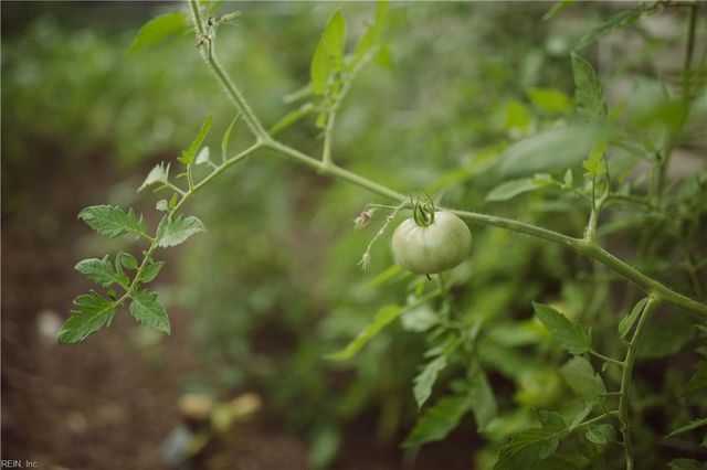 2512 Olympic CT, Virginia Beach, VA 23453