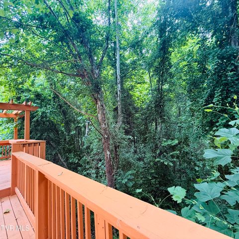 222 Bradford Lane, Bristol, TN 37620