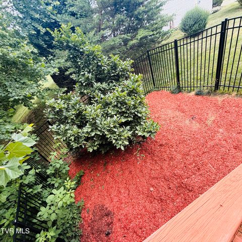 222 Bradford Lane, Bristol, TN 37620