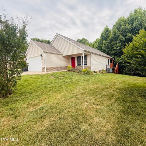 222 Bradford Lane, Bristol, TN 37620