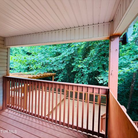 222 Bradford Lane, Bristol, TN 37620