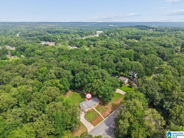 291 FRAN DRIVE, Alabaster, AL 35007