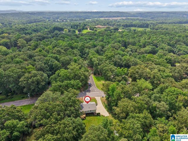 291 FRAN DRIVE, Alabaster, AL 35007