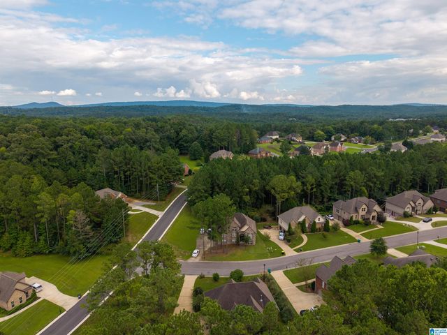 15 LAKESIDE DRIVE, Odenville, AL 35120