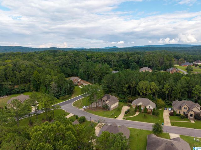 15 LAKESIDE DRIVE, Odenville, AL 35120
