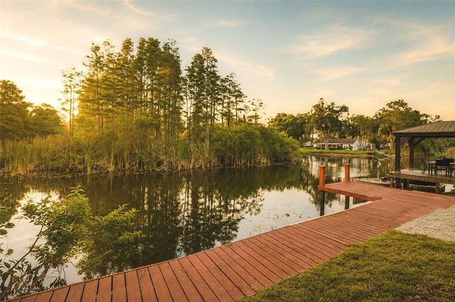17002 PAULA LANE, Lutz, FL 33558