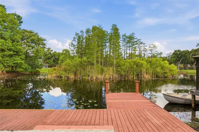 17002 PAULA LANE, Lutz, FL 33558
