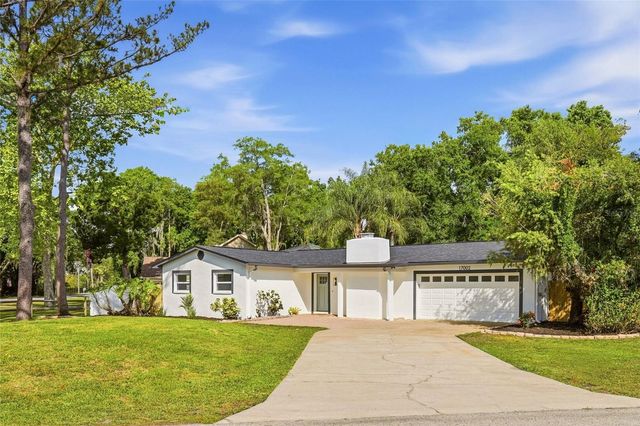 17002 PAULA LANE, Lutz, FL 33558