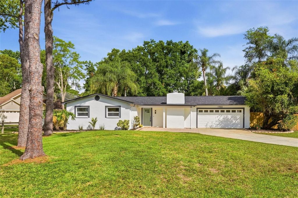 17002 PAULA LANE, Lutz, FL 33558