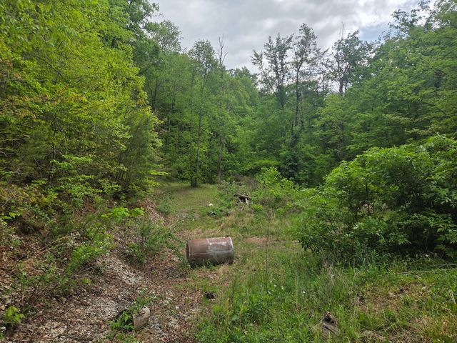 2799 Pine Ridge Road, Winchester, KY 40391