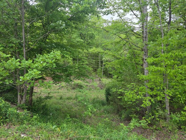 2799 Pine Ridge Road, Winchester, KY 40391