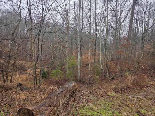 2799 Pine Ridge Road, Winchester, KY 40391