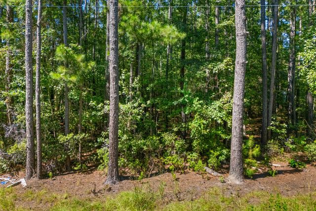 149 Ponderosa Road, Summerville, SC 29483