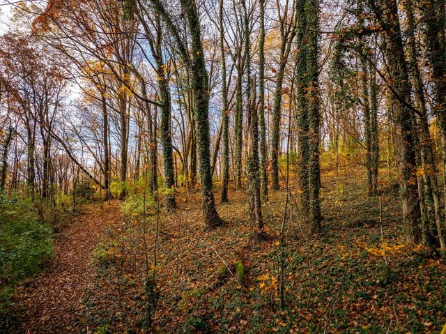 2413 Woolson Road, Chattanooga, TN 37406