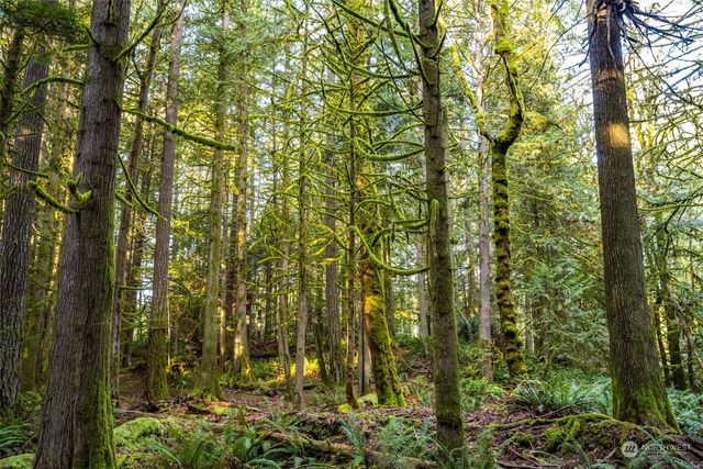 13387 Calico Place NW, Silverdale, WA 98383