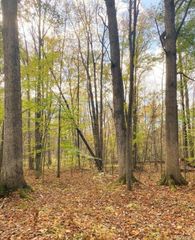 9473 E Broomfield Road, Update, MI 48858