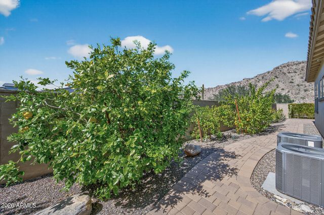 21294 W MEADOWBROOK Avenue, Buckeye, AZ 85396