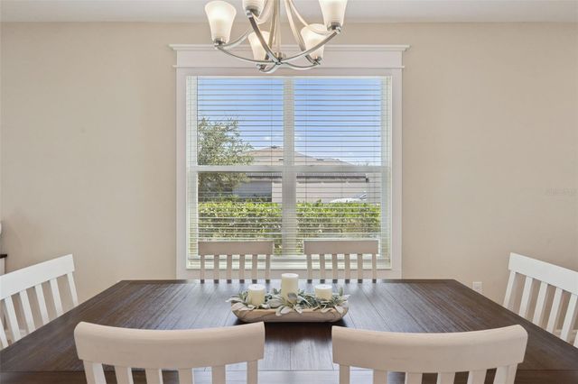 253 SPARROW HAWK DRIVE, Groveland, FL 34736