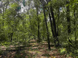 XXX NE Champion Loop, Lee, FL 32059