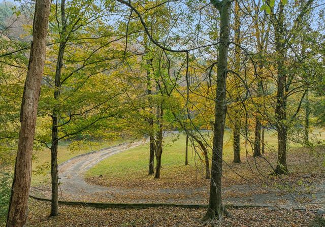 4969 Tranham Rd, Whites Creek, TN 37189