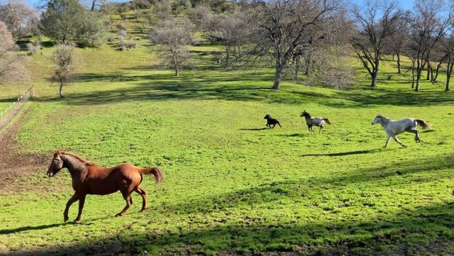 178 Carmel Rd, Burson, CA 95225