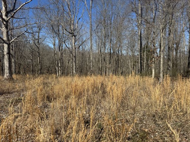 0 Primm Rd, Ashland City, TN 37015