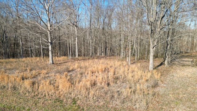 0 Primm Rd, Ashland City, TN 37015