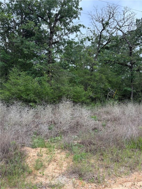 31 Ranch Road Drive, Normangee, TX 77871 — photo 2
