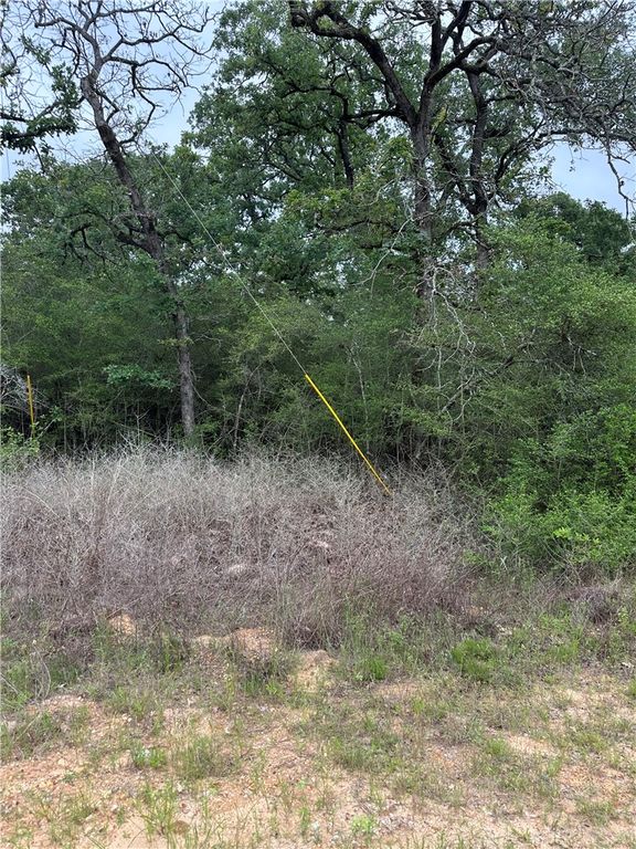 31 Ranch Road Drive, Normangee, TX 77871 — photo 3