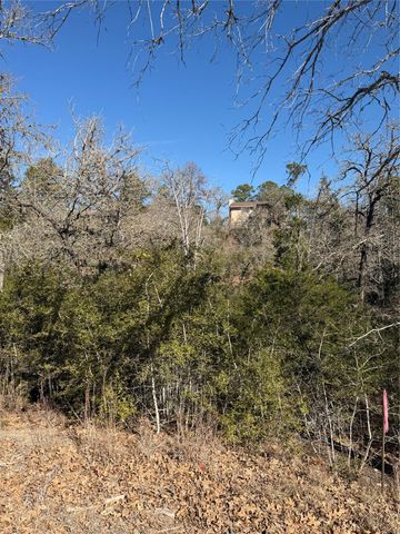 Lot 109 Wailupe CIR, Bastrop, TX 78602