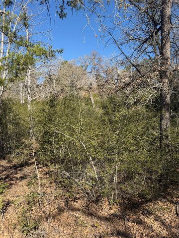 Lot 109 Wailupe CIR, Bastrop, TX 78602