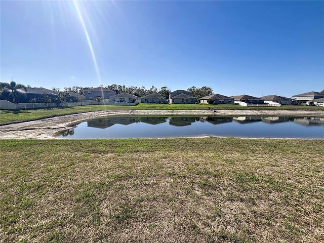 10241 STRAWBERRY TETRA DRIVE, Riverview, FL 33578