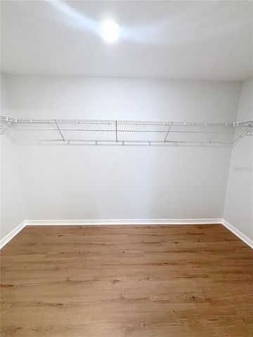 10241 STRAWBERRY TETRA DRIVE, Riverview, FL 33578