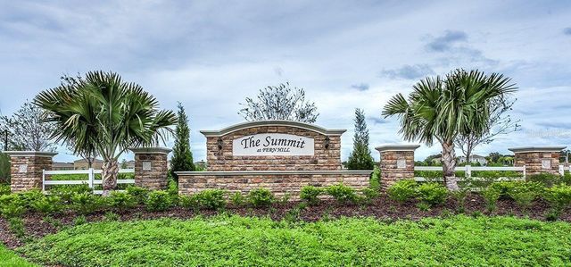 10241 STRAWBERRY TETRA DRIVE, Riverview, FL 33578