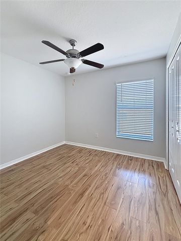 10241 STRAWBERRY TETRA DRIVE, Riverview, FL 33578