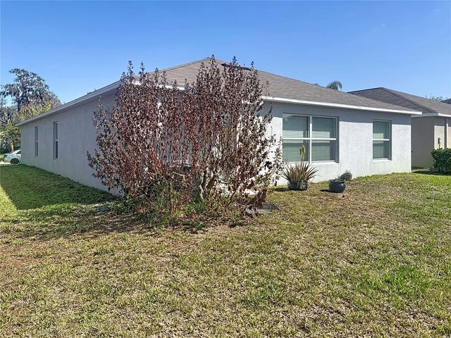 10241 STRAWBERRY TETRA DRIVE, Riverview, FL 33578