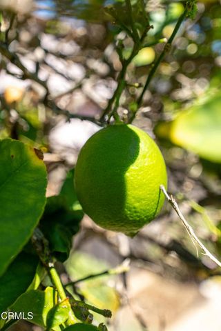 2007 Inez Drive, Oxnard, CA 93030