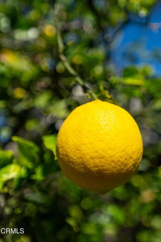 2007 Inez Drive, Oxnard, CA 93030