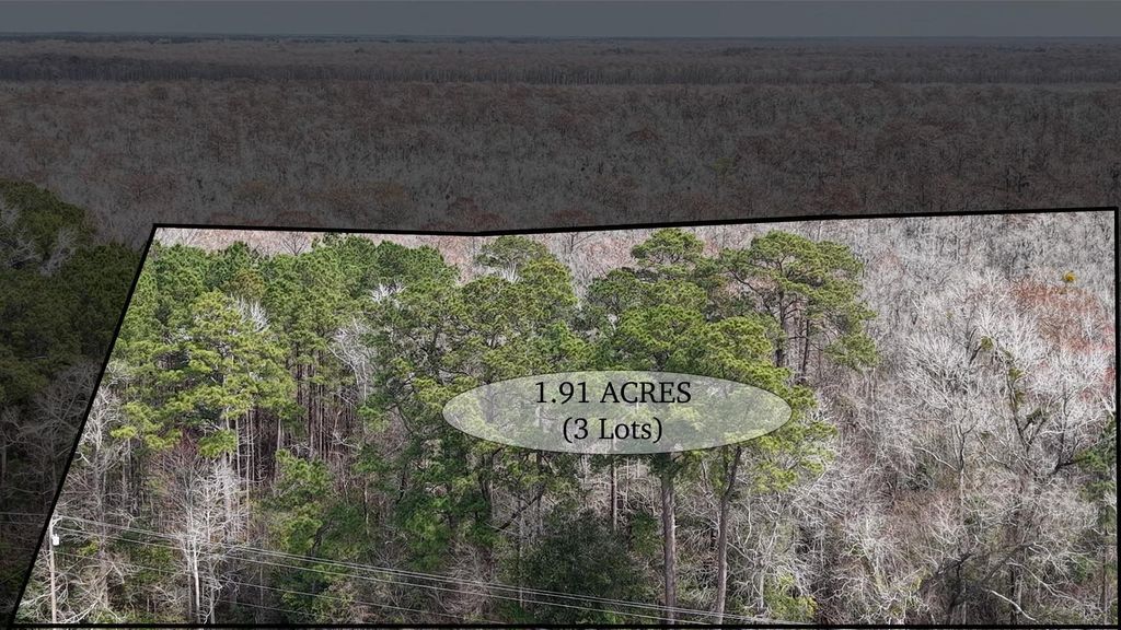 TBD Bucksport Rd., Conway, SC 29527 — photo 2