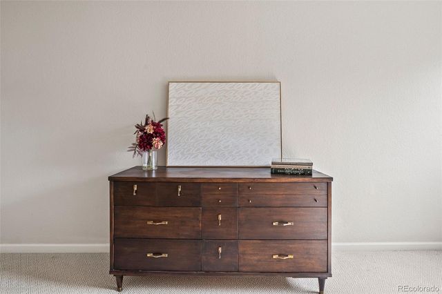 910 S Euclid Way, Denver, CO 80209