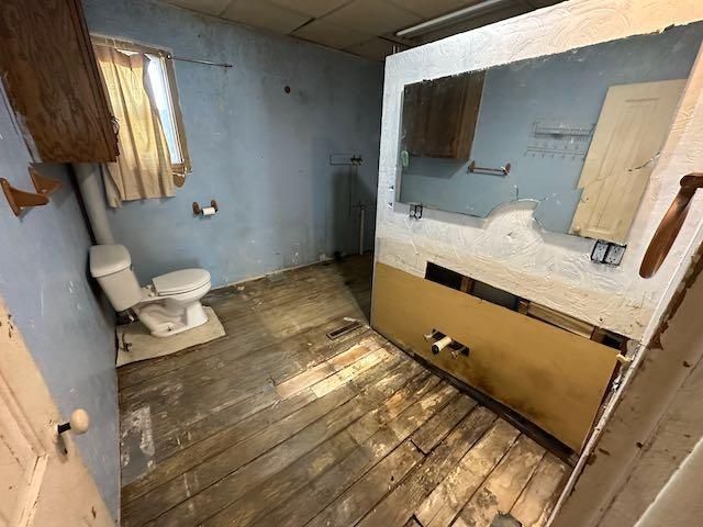 807 County Road 6, Renville, MN 56284