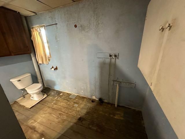 807 County Road 6, Renville, MN 56284